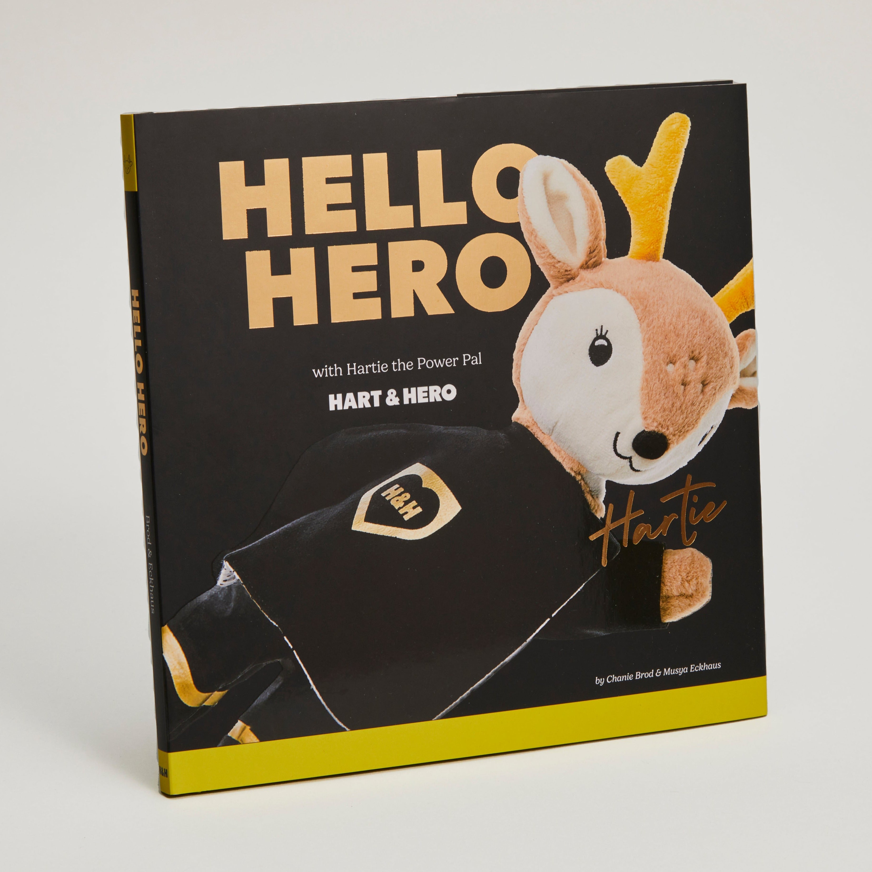 Hello Hero: The Book