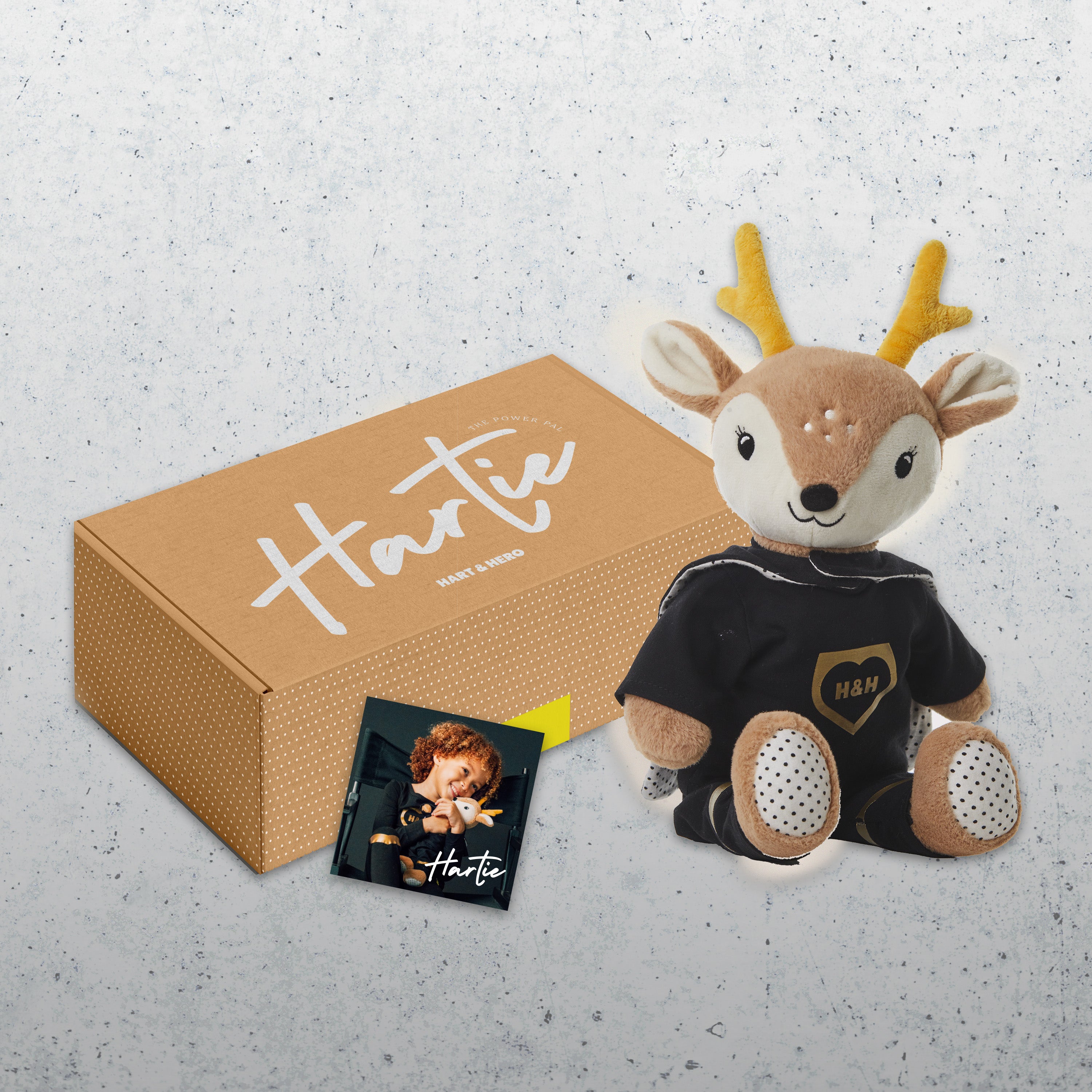 Bundle: Herotron& Hartie